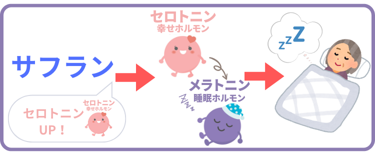 選び方1